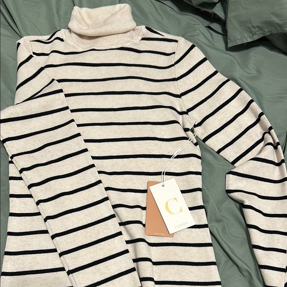 Striped Turtleneck Sweater